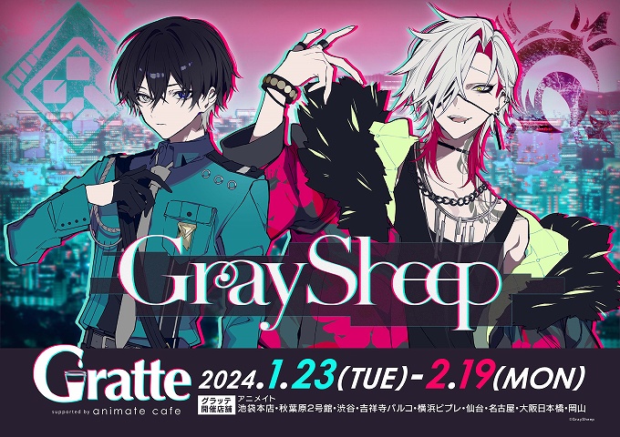 Gray Sheep×Gratte